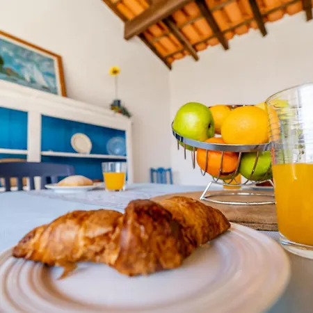 Farm stay #223 Rural Tranquility In Algarve Paderne (Faro)
